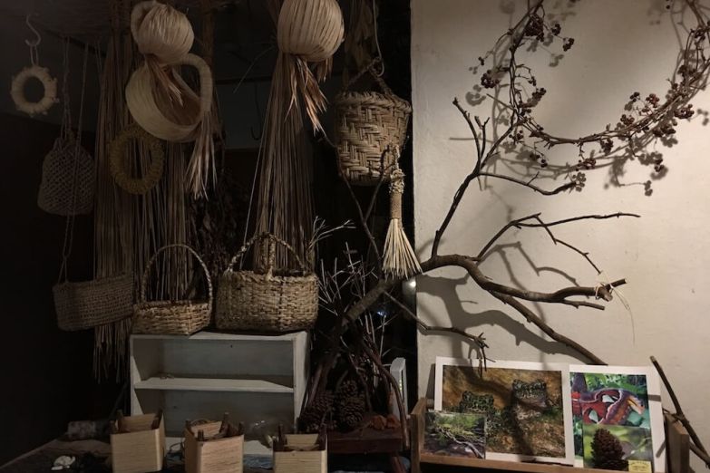 観光スポット 民宿 海山木 公式 国頭村観光協会webサイト 観光スポット 民宿 海山木 公式 国頭村観光協会webサイト