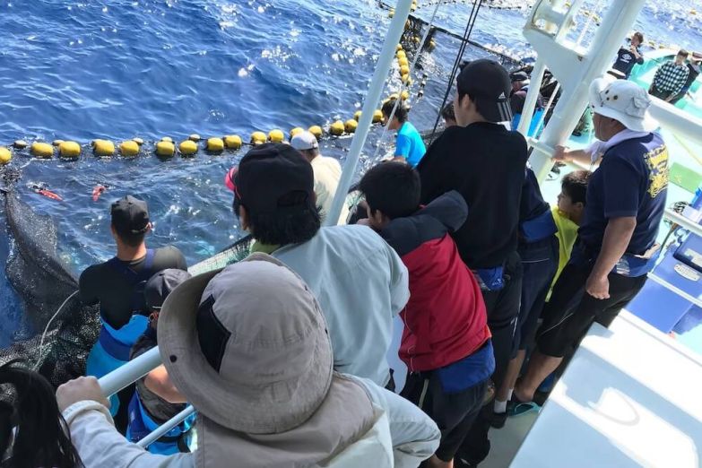 定置網漁体験(やんばる東海岸ブルー・ツーリズム拠点施設)のサムネイル