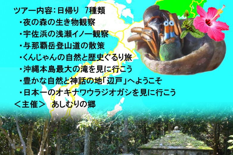 観光スポット 辺戸岬観光案内所 公式 国頭村観光協会webサイト 観光スポット 辺戸岬観光案内所 公式 国頭村観光協会webサイト