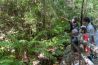 国頭村森林公園（ツアー）のサムネイル