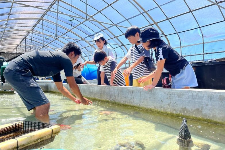 やんばるタッチプール&飼育体験(OSC株式会社)のサムネイル