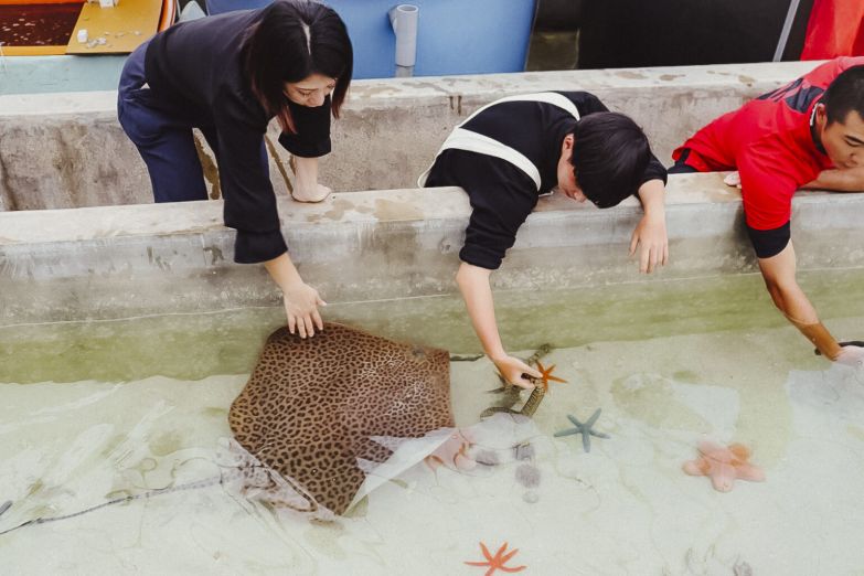 やんばるタッチプール&飼育体験(OSC株式会社)のサムネイル