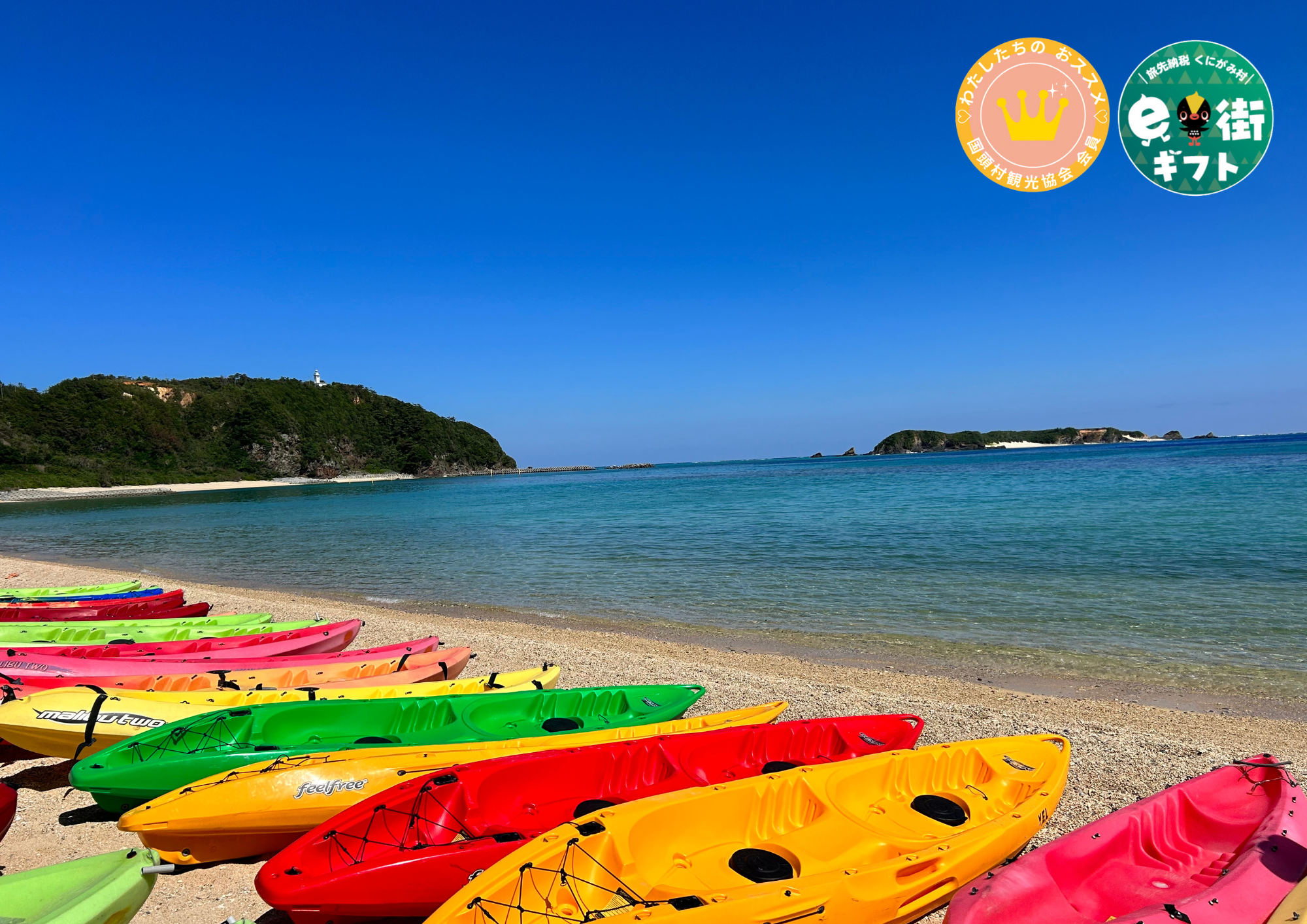 くんじゃんマガジン | 【公式】国頭村観光協会WEBサイト