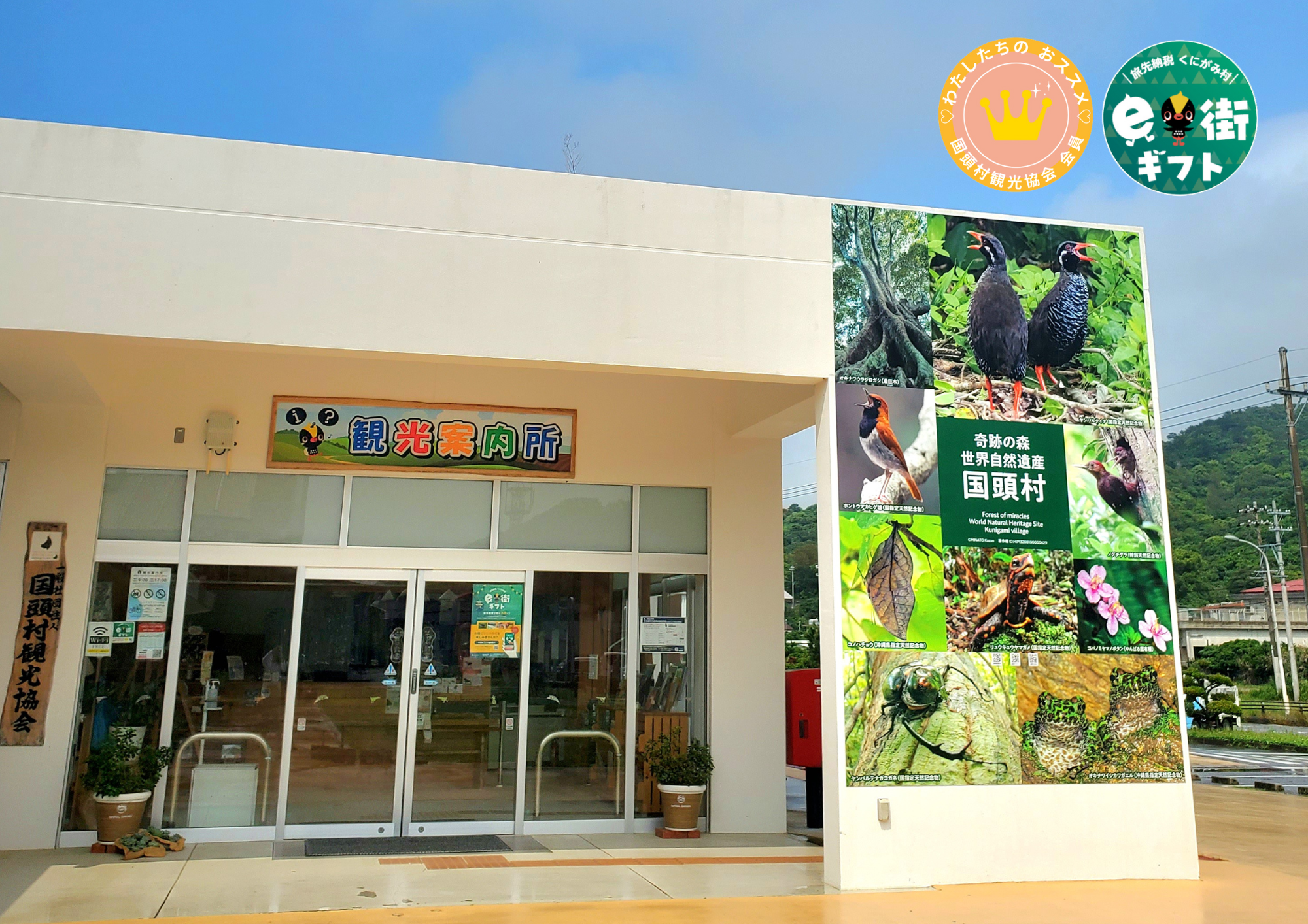 くんじゃんマガジン | 【公式】国頭村観光協会WEBサイト